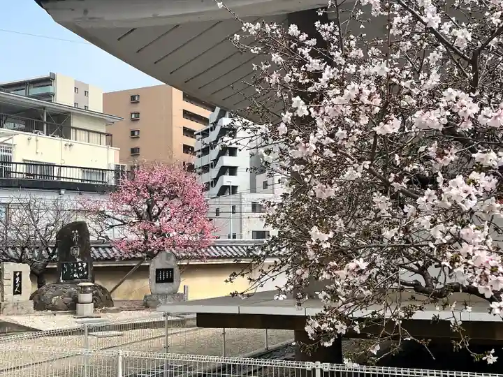 大念佛寺(大阪府)