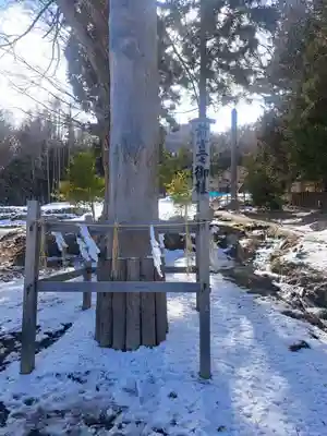 諏訪大社上社前宮(長野県)