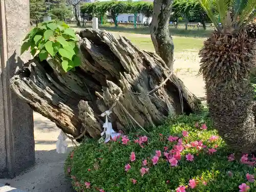 阿閇神社の自然