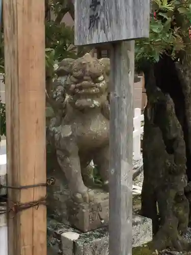 猿田彦神社の狛犬