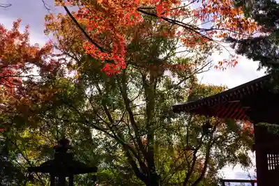 鼻顔稲荷神社(長野県)