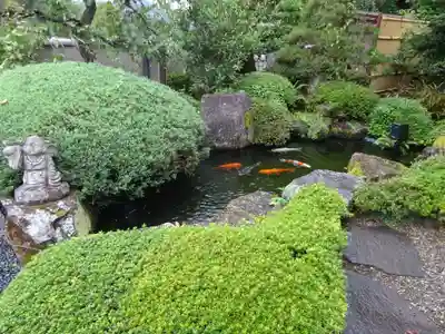 法妙寺の庭園