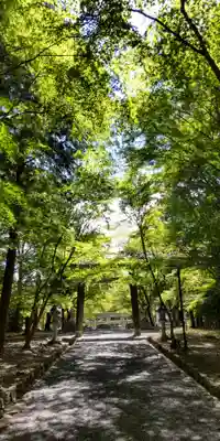 大原野神社(京都府)