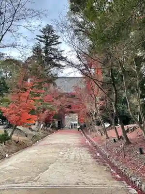 醍醐寺(京都府)