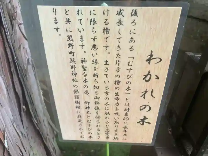 くまくま神社(導きの社 熊野町熊野神社)(東京都)