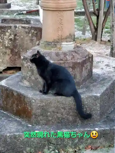 皆生温泉神社(鳥取県)