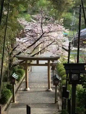 大神神社(奈良県)