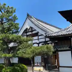 大覚寺(京都府)