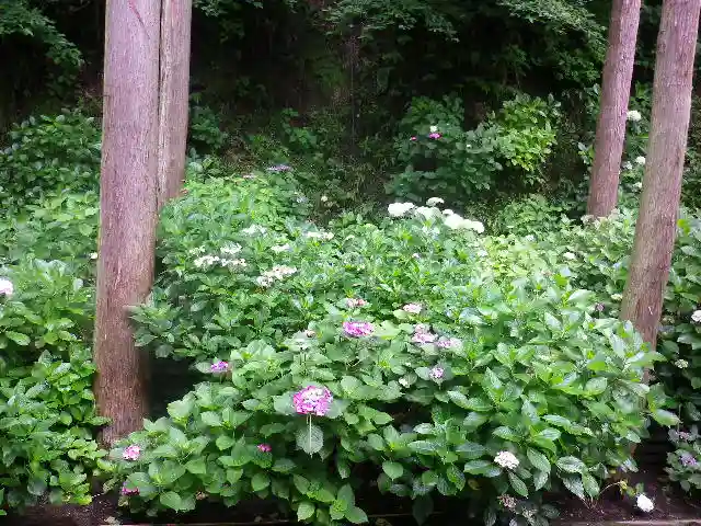 御霊神社の自然