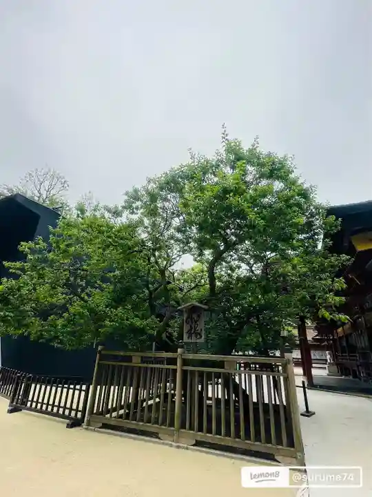 太宰府天満宮の自然