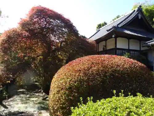 天台宗　長窪山　正覚寺の庭園