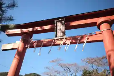 我野神社の鳥居