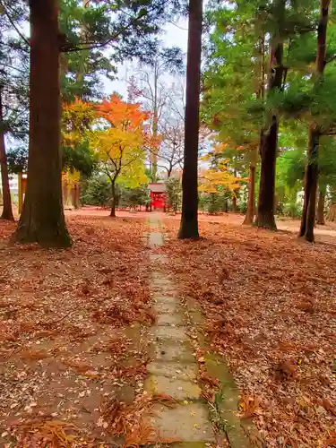 神炊館神社 ⁂奥州須賀川総鎮守⁂の自然
