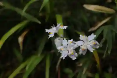 瑞鳳寺(宮城県)