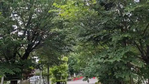 上川神社頓宮の自然