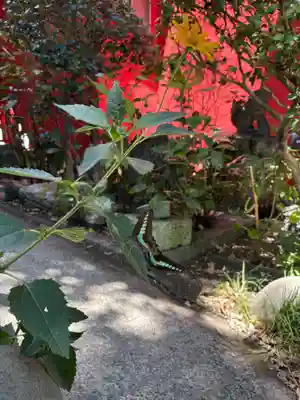 大島稲荷神社(東京都)