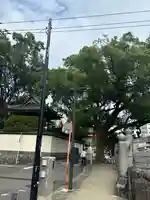 光永寺(長崎県)