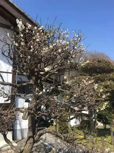 宝徳寺の庭園