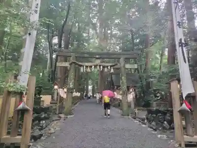 椿大神社の{uncategorized: "未分類", other: "その他", undefined: "問題あり", building: "その他建物", grave: "お墓", sacred_gate: "鳥居", guardian: "狛犬", statue: "像", buddha: "仏像", history: "歴史", nature: "自然", garden: "庭園", animal: "動物", pagoda: "塔", temizu: "手水舎", mountain_gate: "山門・神門", sanctuary: "本殿・本堂", subordinate: "末社・摂社", art: "芸術", scenery: "景色", jizo: "地蔵", ema: "絵馬", goshuin: "御朱印", omikuji: "おみくじ", items: "授与品その他", amulet: "お守り", goshuincho: "御朱印帳", eats: "食事", festival: "お祭り", votive_dance: "神楽", shichigosan: "七五三参", wedding: "結婚式", experience: "体験その他", initially: "初詣", around: "周辺", anti_infection: "感染症対策"}