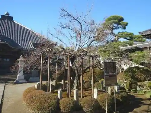 金剛寺(東京都)