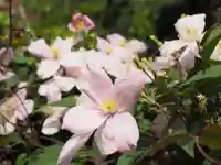 今市報徳二宮神社(栃木県)