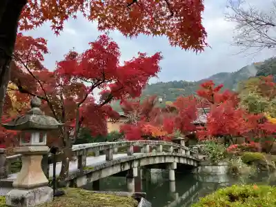 禅林寺（永観堂）(京都府)