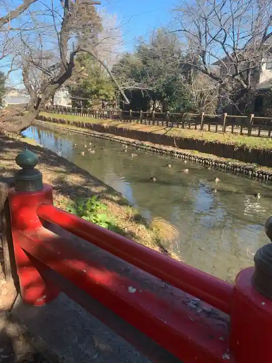 氷川女體神社の周辺