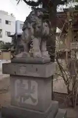 今戸神社の狛犬