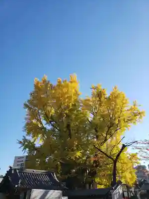 善福寺(東京都)