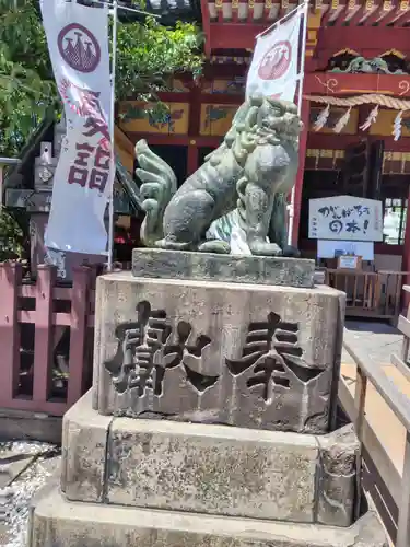 浅草神社の狛犬