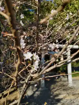 延命寺の末社・摂社