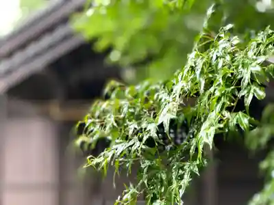 御影神社の自然