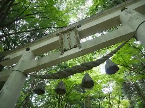 宝登山神社奥宮の鳥居