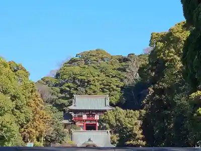 鶴岡八幡宮(神奈川県)