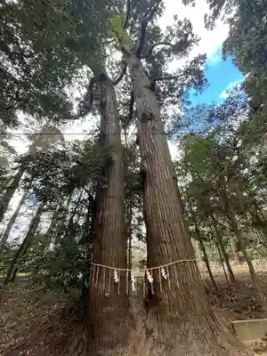 日吉神社(千葉県)