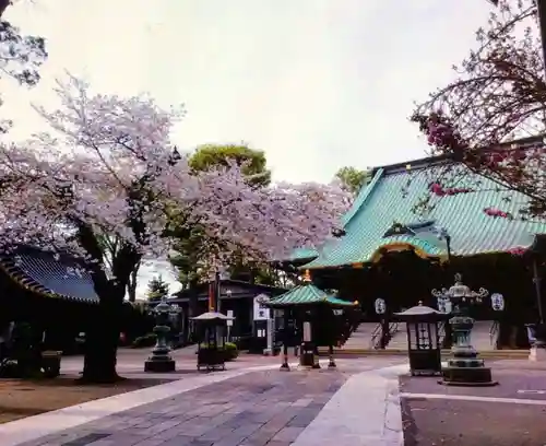 妙法寺の本殿・本堂