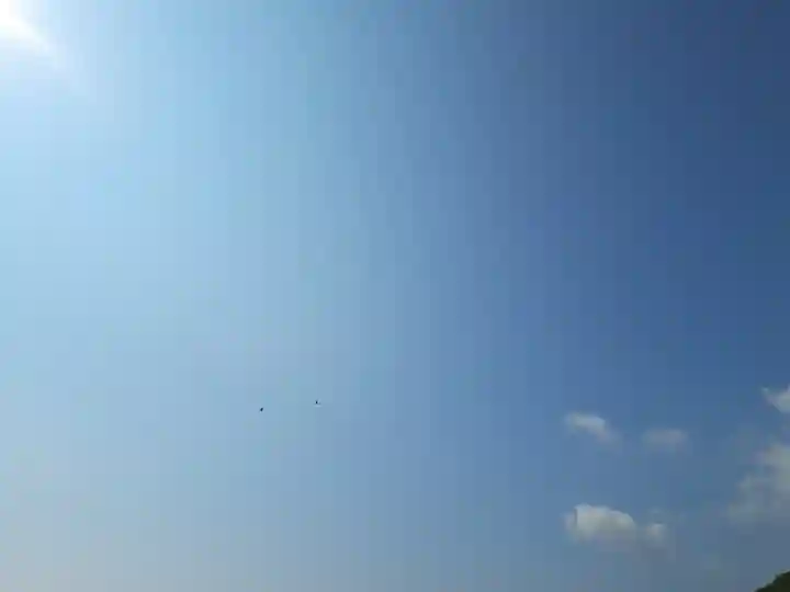 屋久島大社の動物