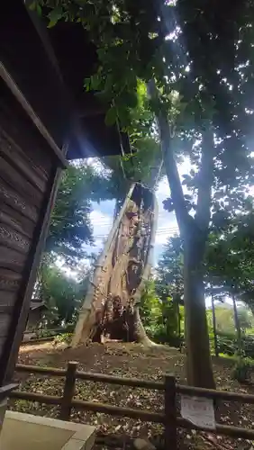 白鬚神社(埼玉県)
