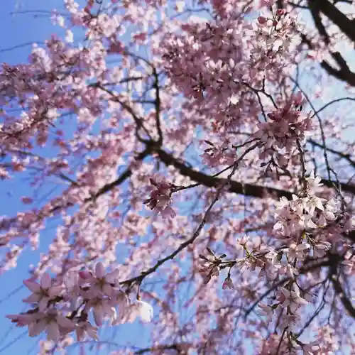豊景神社(福島県)