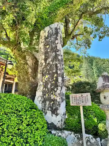 熊野那智大社(和歌山県)