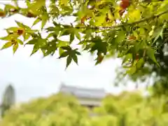 眞田神社の自然