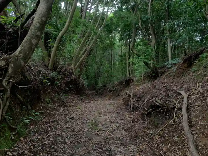 諏訪神社の自然