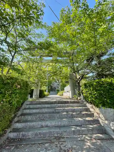 椿八幡宮の鳥居