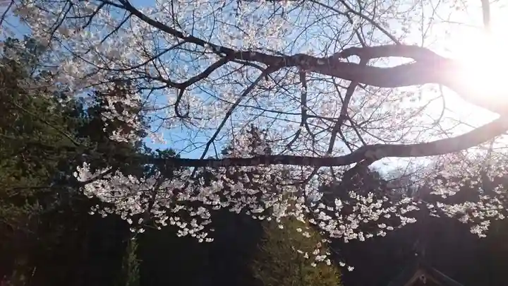 諏訪大社(長野県)