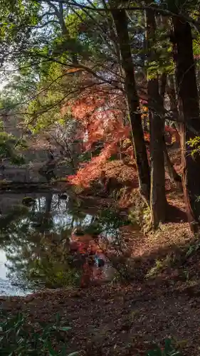 成相寺(京都府)