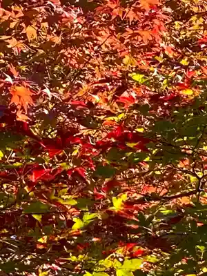 大法院(京都府)