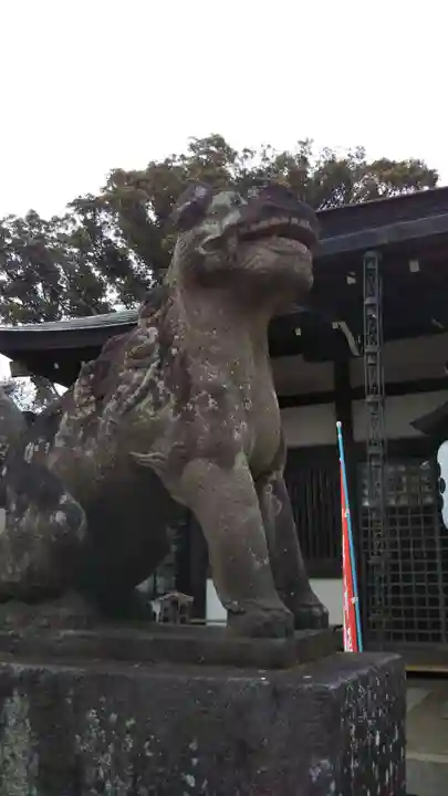 登渡神社の狛犬