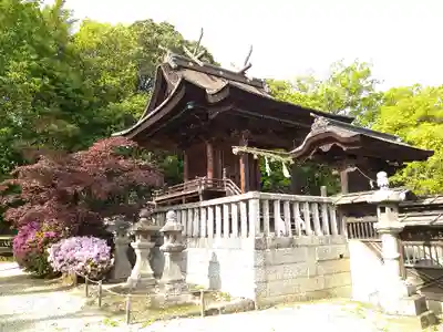 阿智神社の本殿・本堂