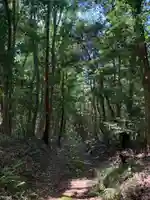 大杉神社の周辺