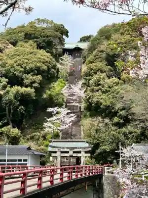 須賀神社の{uncategorized: "未分類", other: "その他", undefined: "問題あり", building: "その他建物", grave: "お墓", sacred_gate: "鳥居", guardian: "狛犬", statue: "像", buddha: "仏像", history: "歴史", nature: "自然", garden: "庭園", animal: "動物", pagoda: "塔", temizu: "手水舎", mountain_gate: "山門・神門", sanctuary: "本殿・本堂", subordinate: "末社・摂社", art: "芸術", scenery: "景色", jizo: "地蔵", ema: "絵馬", goshuin: "御朱印", omikuji: "おみくじ", items: "授与品その他", amulet: "お守り", goshuincho: "御朱印帳", eats: "食事", festival: "お祭り", votive_dance: "神楽", shichigosan: "七五三参", wedding: "結婚式", experience: "体験その他", initially: "初詣", around: "周辺", anti_infection: "感染症対策"}
